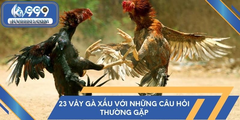 23 vảy gà xấu với những câu hỏi thường gặp