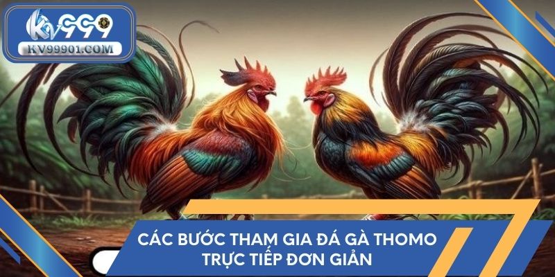 Các bước tham gia đá gà Thomo trực tiếp đơn giản