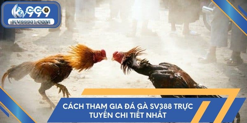 Cách tham gia đá gà SV388 trực tuyến chi tiết nhất