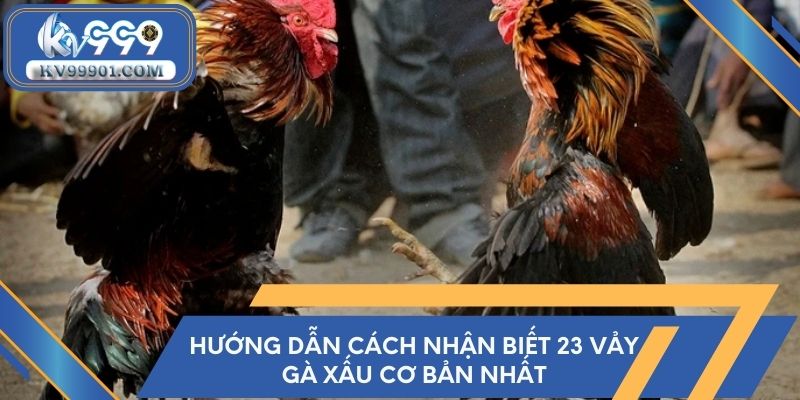 Hướng dẫn cách nhận biết 23 vảy gà xấu cơ bản nhất