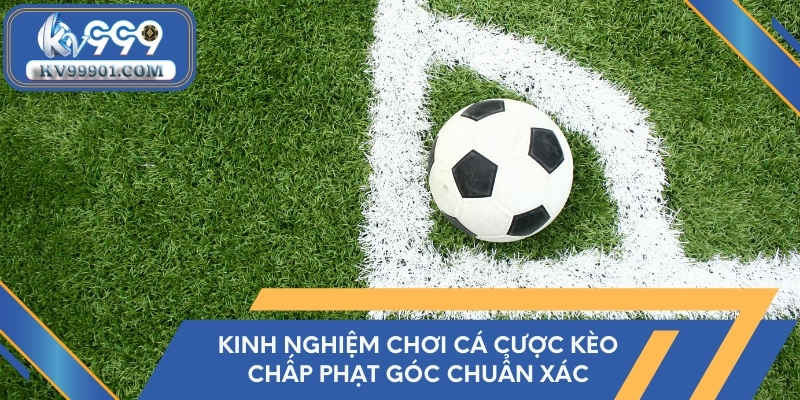 Kinh nghiệm chơi cá cược kèo chấp phạt góc chuẩn xác