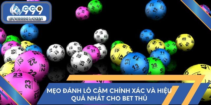 Mẹo đánh lô câm chính xác và hiệu quả nhất cho bet thủ